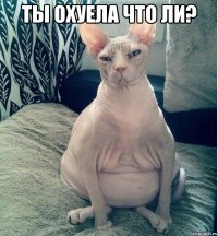 ты охуела что ли? 