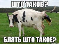 ШТО ТАКОЕ ? БЛЯТЬ ШТО ТАКОЕ?