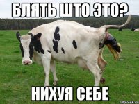 БЛЯТЬ ШТО ЭТО? НИХУЯ СЕБЕ