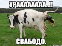 Ураааааааа..!! Свабодо.