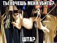 Ты хочешь меня убить? Шта?