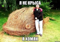 Я НЕ КРЫСА Я ХОМЯК