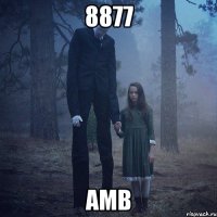 8877 амв