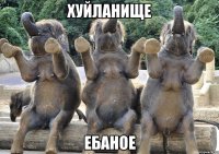 Хуйланище Ебаное