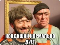  кондишин нормально дует