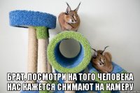  брат, посмотри на того человека нас кажется снимают на камеру