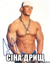  Сіна дрищ