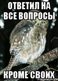 ответил на все вопросы кроме своих
