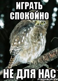 играть спокойно не для нас