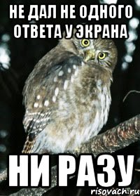 не дал не одного ответа у экрана ни разу