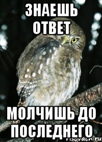 знаешь ответ молчишь до последнего