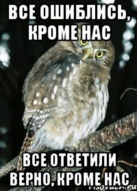 все ошиблись, кроме нас все ответили верно, кроме нас