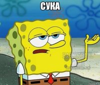 сука 