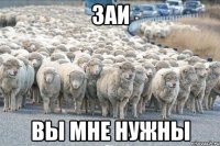 заи вы мне нужны