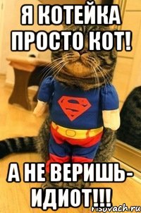 Я котейка просто КОТ! А не веришь- Идиот!!!