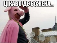 Цікаво де Божена... 