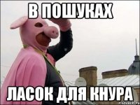 В пошуках ласок для кнура