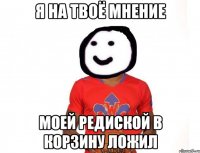 я на твоё мнение моей редиской в корзину ложил