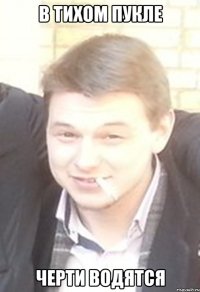в тихом пукле черти водятся