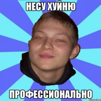 НЕСУ ХУЙНЮ ПРОФЕССИОНАЛЬНО
