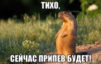 тихо, сейчас припев будет!