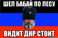 шел бабай по лесу видит днр стоит