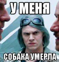 у меня собака умерла