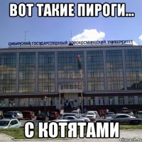 Вот такие пироги... с котятами