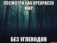 Посмотри как прекрасен мир без углеводов