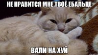 не нравится мне твоё ебальце вали на хуй