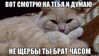 вот смотрю на тебя и думаю- не щербы ты брат часом