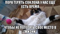 ПОРА ТЕРЯТЬ СОН,ПОКА У НАС ЕЩЁ ЕСТЬ ВРЕМЯ ЧТОБЫ НЕ ПОТЕРЯТЬ СВОЁ МЕСТО В "ЖИЗНИ"