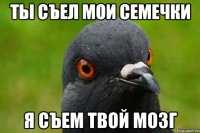 Ты съел мои семечки Я съем твой мозг