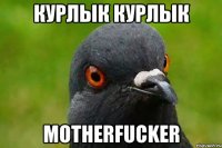 Курлык Курлык Motherfucker