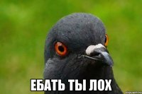  Ебать ты лох