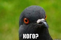 кого?