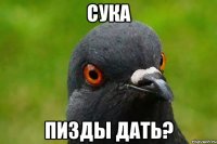 сука пизды дать?