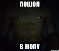 пошол в жопу