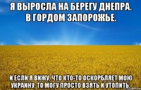 Я выросла на берегу Днепра. В гордом Запорожье. И если я вижу, что кто-то оскорбляет мою Украину, то могу просто взять и утопить.