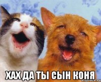  ХАХ ДА ТЫ СЫН КОНЯ