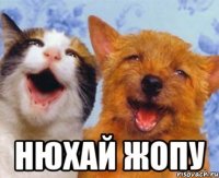  НЮХАЙ ЖОПУ
