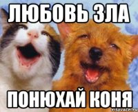 ЛЮБОВЬ ЗЛА ПОНЮХАЙ КОНЯ