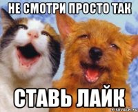 не смотри просто так ставь лайк