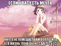 Если у вас есть мечта, ничто не помешает вам воплотить ее в жизнь, пока вы не сдаетесь.(с)