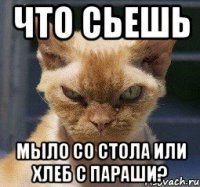 Что сьешь мыло со стола или хлеб с параши?