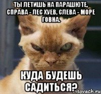 Ты летишь на парашюте, справа - лес хуев, слева - море говна. Куда будешь садиться?