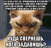 Ты едешь в поезде, прикованный к рычагам, ими можно повернуть или влево, или вправо. Впереди развилка - справа мать к столбу привязана, слева кенты, человек десять. Куда свернешь, кого задавишь?