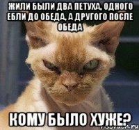 Жили были два петуха, одного ебли до обеда, а другого после обеда кому было хуже?
