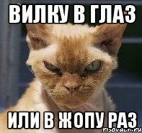 ВИЛКУ В ГЛАЗ ИЛИ В ЖОПУ РАЗ