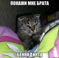 покажи мне брата Беннидикта